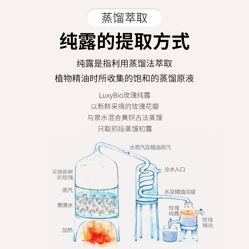 luxybio精油面部纯露花水保湿水 luxybio化妆品精华油