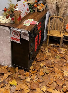 天然梧桐叶樟树叶玉兰叶落叶枯树叶店铺造景秋日氛围橱窗铺地装饰