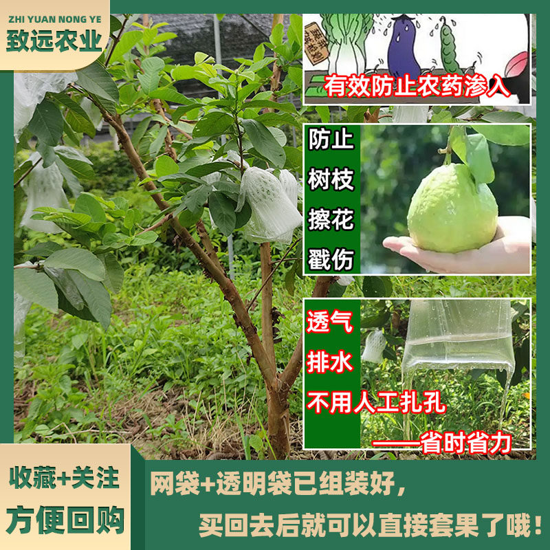 芭乐防虫网袋番石榴套袋网袋专用一体泡沫包装袋番石榴袋水果网套