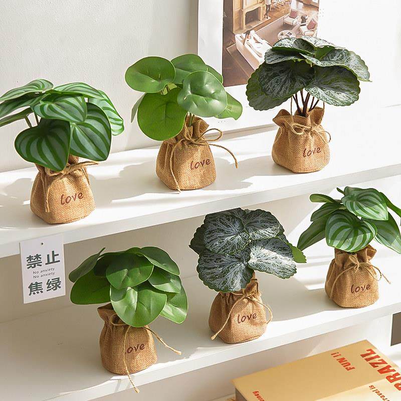 仿真绿植小型迷你仿生假花小盆栽室内客厅书架办公室桌面装饰摆件,淘宝优惠券,粉丝福利购,淘宝优惠卷