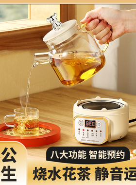 多功能全玻璃底工位养生壶办公室小型煮茶器迷你花茶壶mini一人用