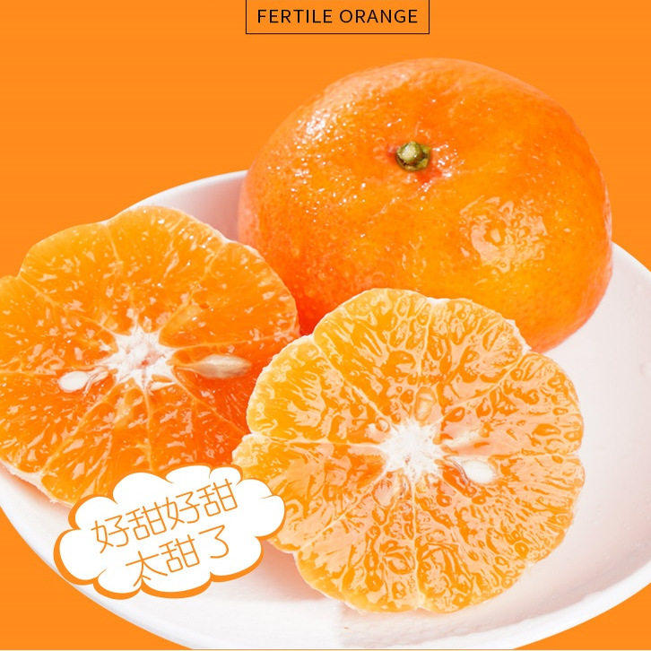 正宗哀牢山高原沃柑应季头茬新鲜水果产地直发,淘宝优惠券,粉丝福利购,淘宝优惠卷