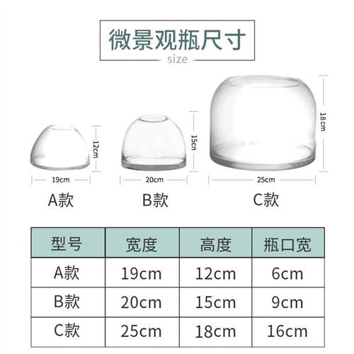 苔藓缸闷养盆器微景观玻璃容器微观生态瓶玻璃瓶花盆带灯微景瓶 - 图1