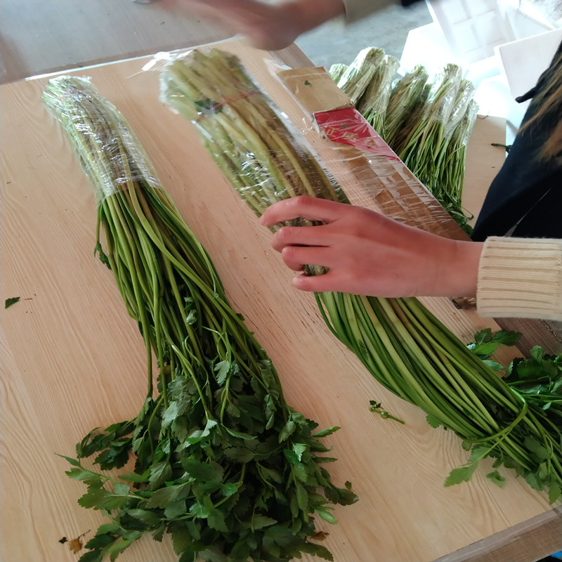 苏北水芹菜新鲜蔬菜农家野芹菜现摘现发少见时令无节水菜顺丰包邮 - 图2