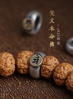 树王原籽小金刚菩提子手串手串