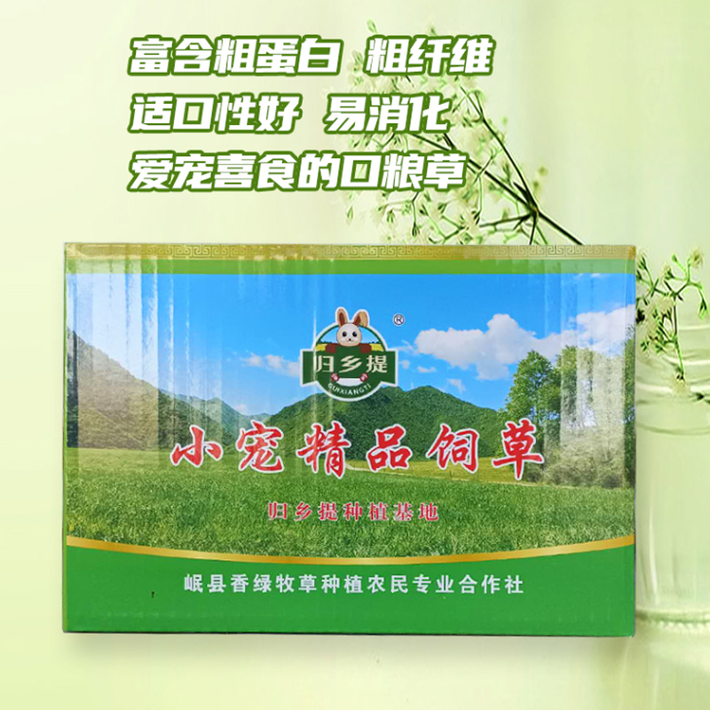 烘干北提龙猫兔兔干草提摩西头茬嫩草箱装归乡提牧草兔饲料提草 - 图1