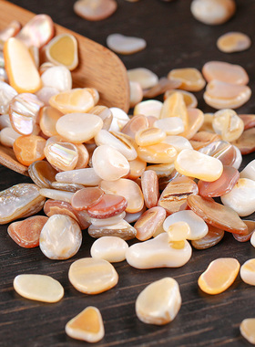 供曼扎七宝石彩色天然贝壳供佛