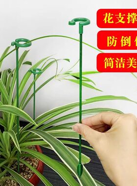 植物固定防倒伏花架子园艺支撑单杆室外花园月季爬藤种菜捆扎支架