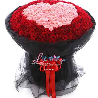 999朵玫瑰花鲜花速递上海同城199/365/520南京杭州成都石家庄求婚 - 图2