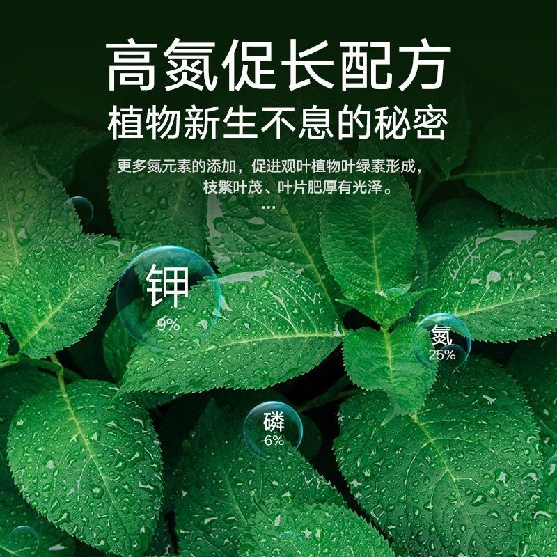 天堂鸟专用肥料黄叶卷边裂开营养液叶子发黄家用室内盆栽植物花肥 - 图2