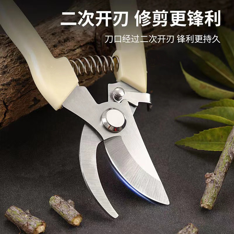 园艺剪刀花卉绿植物园林花剪修枝剪采摘果树专用工具花艺剪刀神器,淘宝优惠券,粉丝福利购,淘宝优惠卷