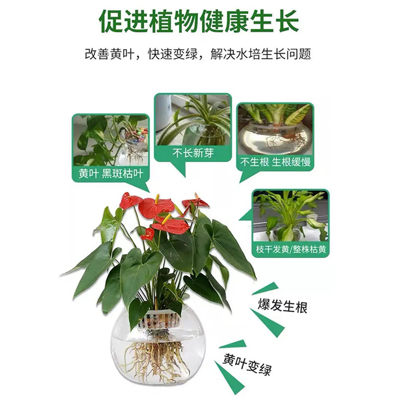 水培植物营养液通用型碗莲睡莲专用观音竹富贵竹郁金香铜钱草绿萝,淘宝优惠券,粉丝福利购,淘宝优惠卷