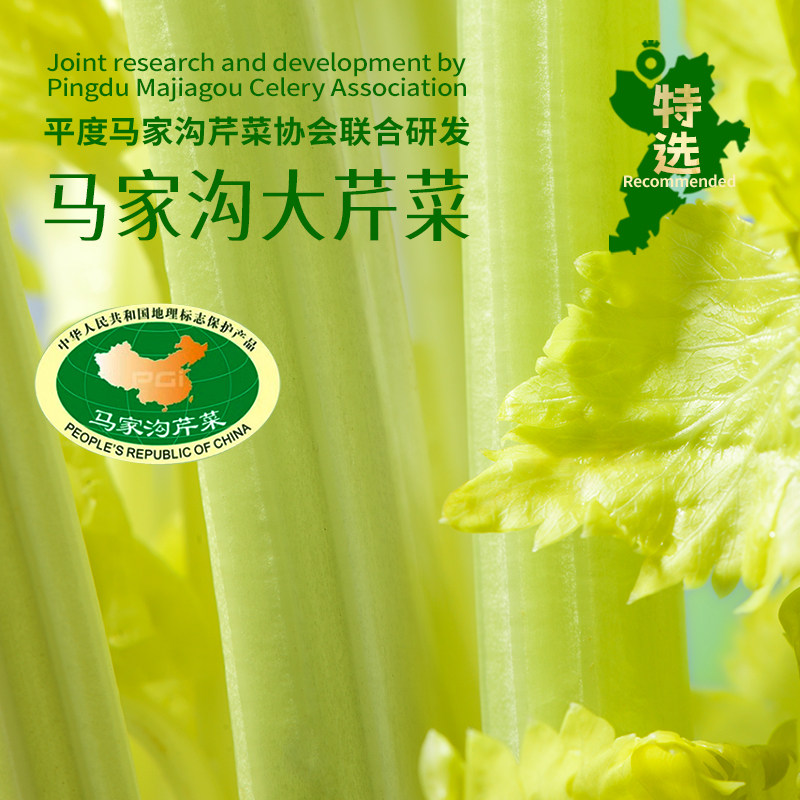 田野说芹菜汁混合果蔬汁羽衣甘蓝儿童蔬菜汁饮料248ml10瓶