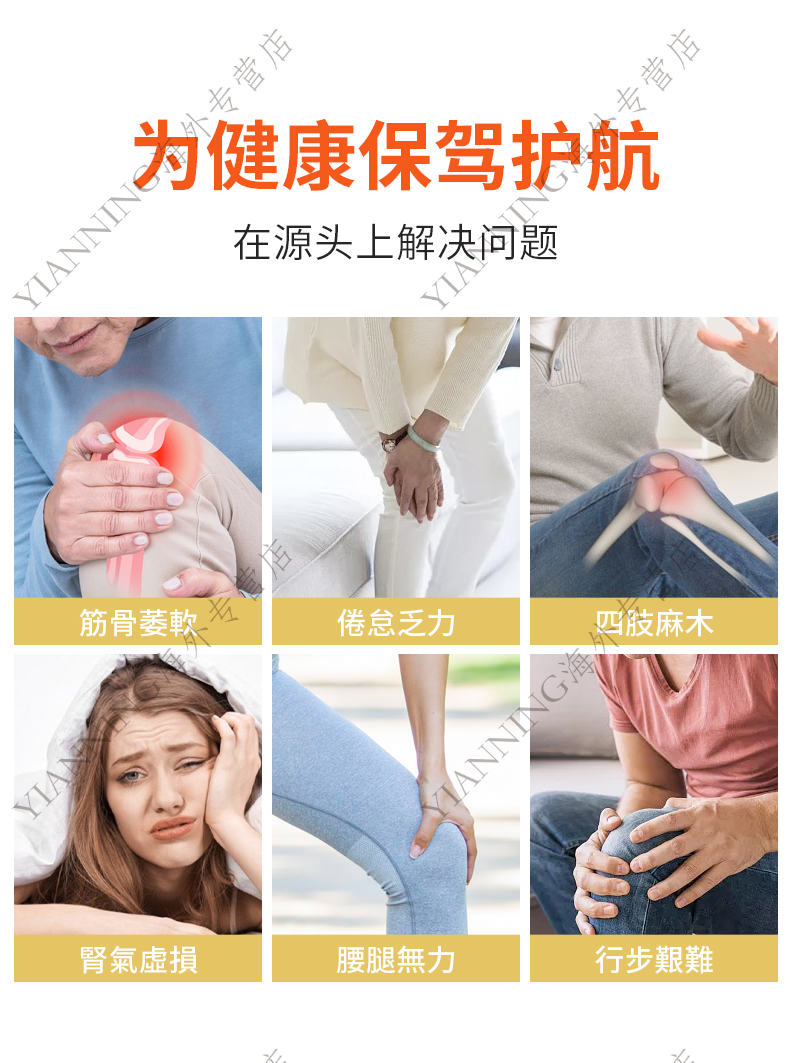 香港进口同仁健步虎潜丸300粒强壮筋骨腰腿酸痛活络风湿虎潜丸