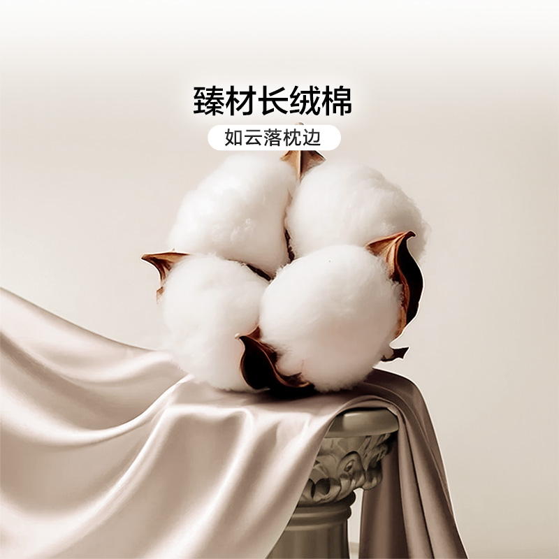 【专柜同款】富安娜60支长绒棉四件套全棉纯棉床单被套 锦素金兰 - 图0