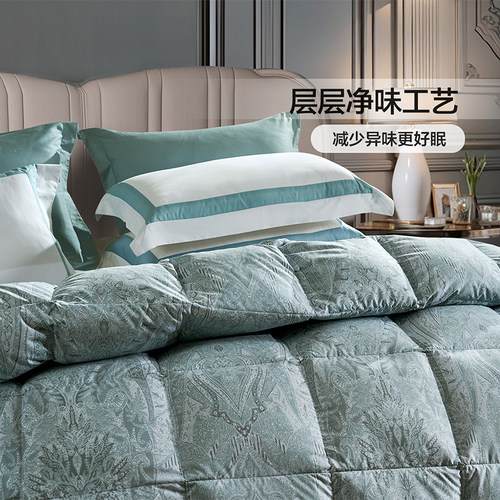 富安娜家纺羽绒被95白鹅绒保暖加厚被子冬被芯羽绒鹅绒被冬季被褥 - 图2