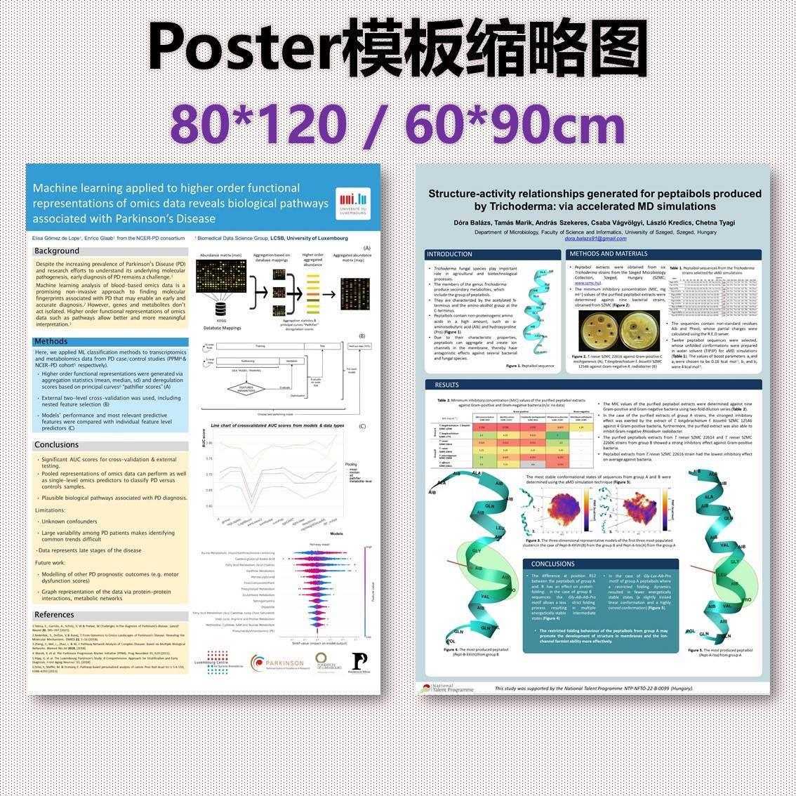 学术poster海报壁报墙报模板80*120 60*90 ppt格式竖版15个 - 图2