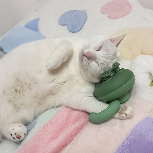 宠物头部按摩仪器电动按摩仪撸猫梳毛神器狗狗痒痒挠灵魂提取器 - 图0