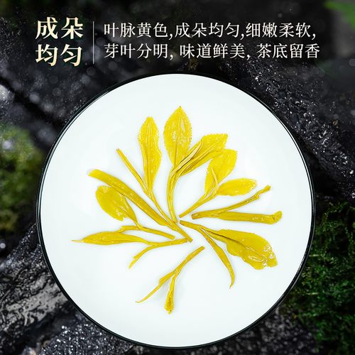 黄金芽2026新茶茶叶自己喝绿茶明前浓香型春茶礼盒装浙江安吉一级 - 图3
