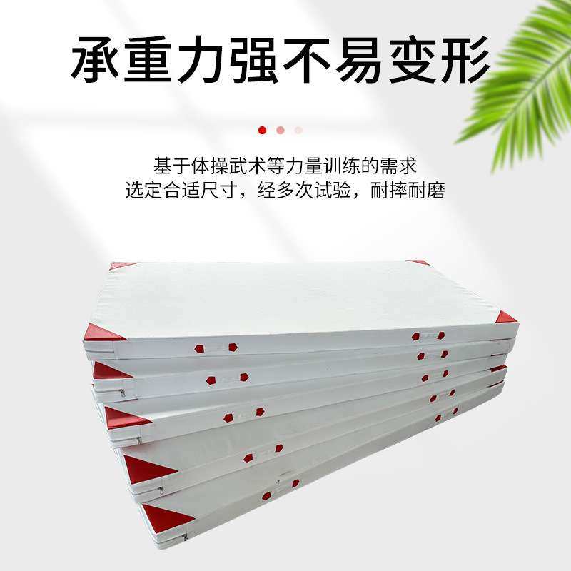 武术垫体操跆拳道垫武馆练功垫体育训练垫子海绵垫防滑环保材质,淘宝优惠券,粉丝福利购,淘宝优惠卷