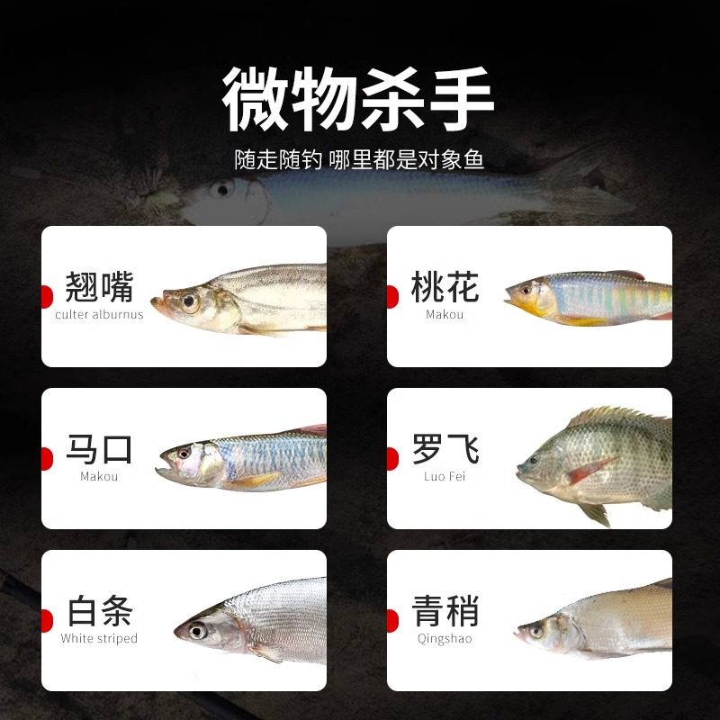 毒蚊飞蝇钩绑好套装助投器不伤线线组马口微物饵路亚假饵瓜子亮片,淘宝优惠券,粉丝福利购,淘宝优惠卷