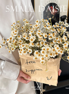 RoomTour复古秋色长枝洋甘菊