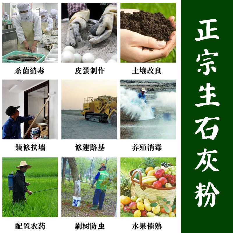 生石灰粉50斤消毒杀菌防虫干燥剂改良土壤防潮驱虫刷白防霉除湿块 - 图1