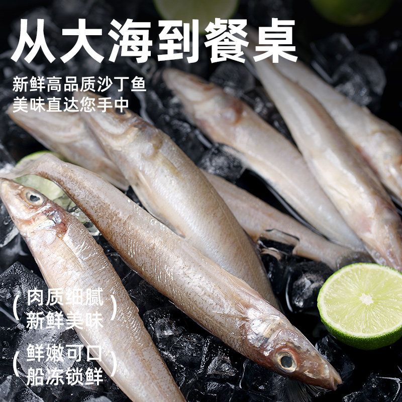 舟山大号沙丁鱼新鲜尖梭鱼深海捕鱼鲜活冷冻海鱼沙尖鱼海鲜水产,淘宝优惠券,粉丝福利购,淘宝优惠卷
