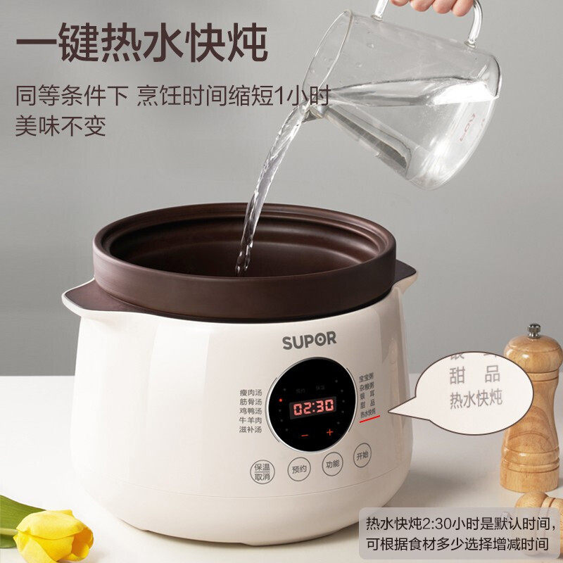  苏泊尔龙康电炖/煮粥锅/文火炉