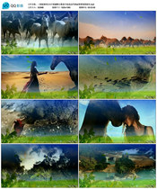 二胡独奏阿拉木汗新疆舞台歌曲开场成品伴奏led背景视频素材