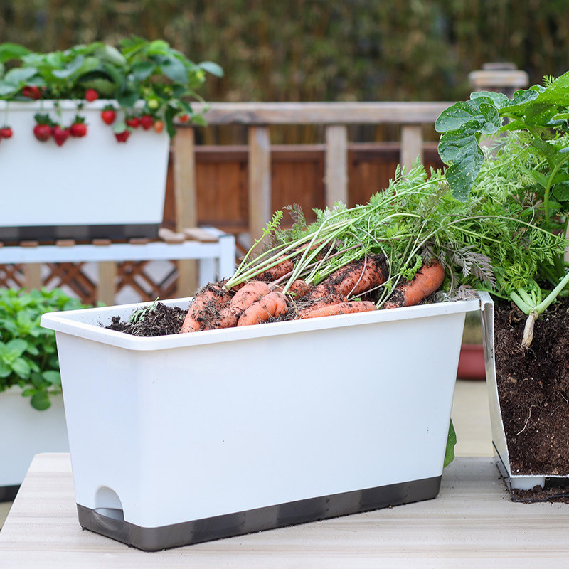 阳台种菜盆加深塑料长方形蔬菜种植自吸水专用箱神器草莓花盆大号,淘宝优惠券,粉丝福利购,淘宝优惠卷