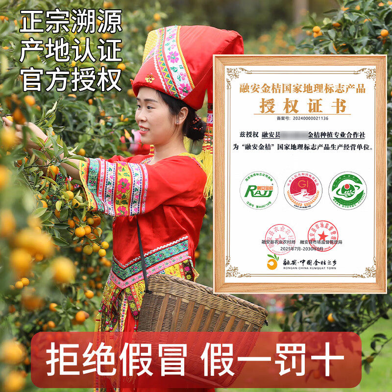 广西融安脆蜜金桔【空运多地次日达】第3代新鲜水果应季橘子生鲜,淘宝优惠券,粉丝福利购,淘宝优惠卷