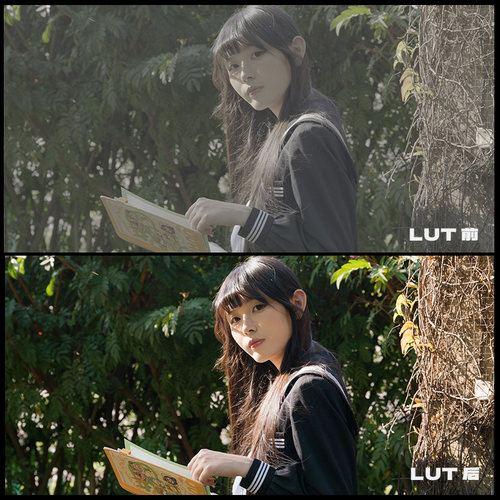 【松下lut】vlog自然色彩方案｜up主自制机内监视烧录luts1r2s5 - 图3