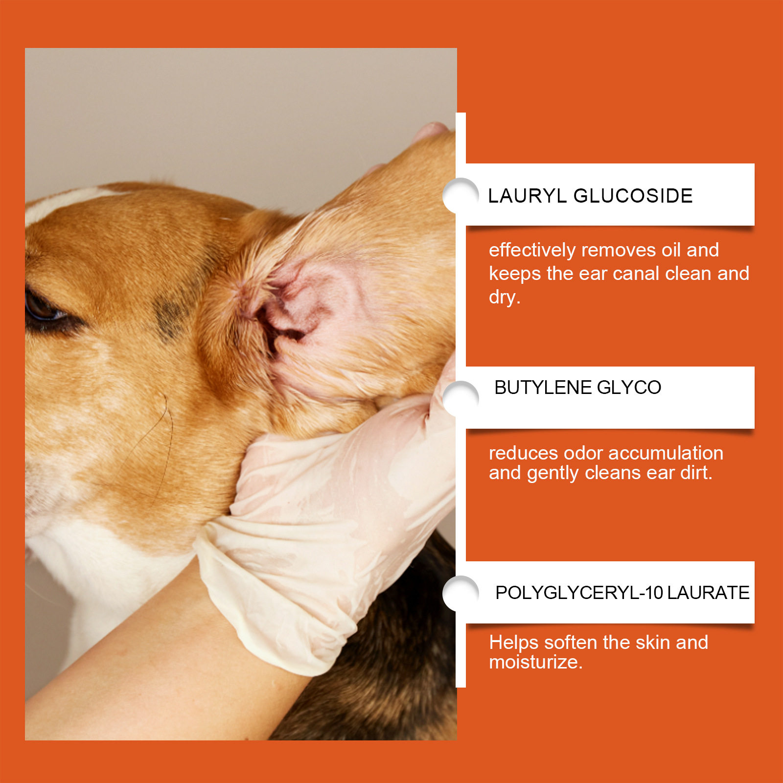 宠物耳朵清洁系列除耳螨猫咪狗狗足部耳部清洁干爽耳垢爪垫除臭,淘宝优惠券,粉丝福利购,淘宝优惠卷