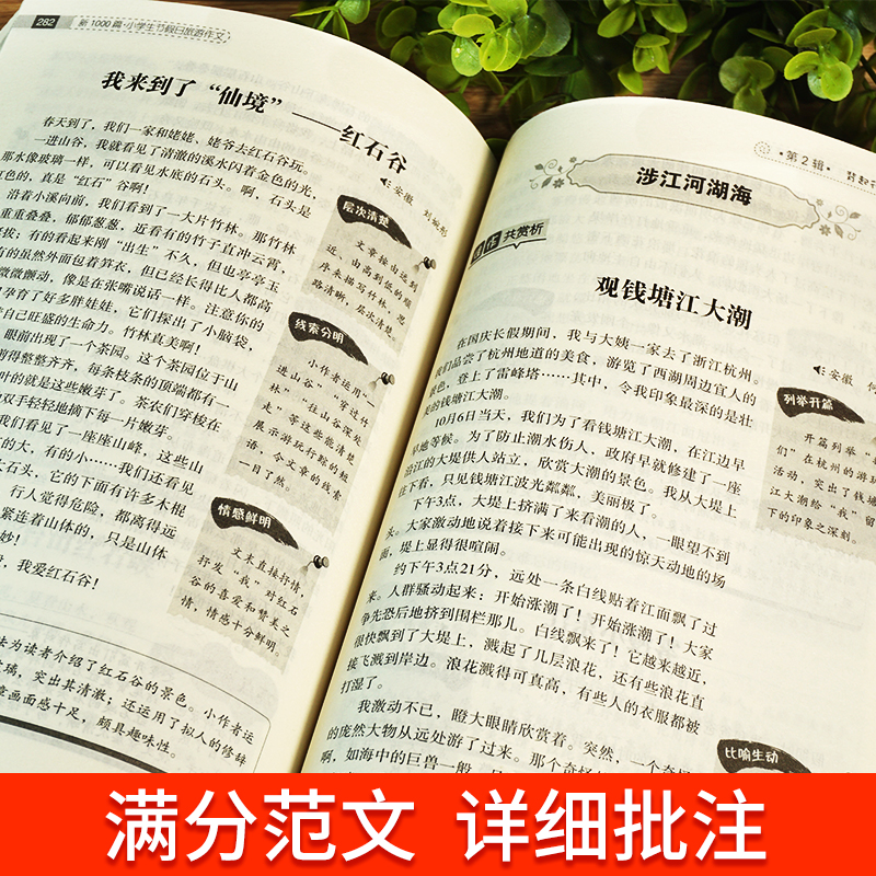 新1000篇 小学生节假日旅游作文大全 1~6年级全国通用 超多节假日旅游地类型 满分范文详细批注名师点评 升级加厚版 开心呢作文 - 图3