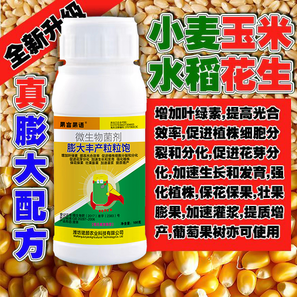 【厂家直销】小麦玉米水稻膨大穗大粒多灌浆饱满千粒重高膨大 - 图0