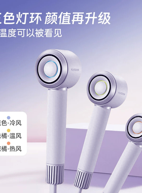 飞科高速吹风机家用负离子护发大风力速干电吹风筒送女友礼物