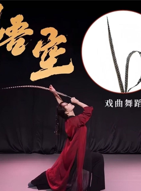仿真孙悟空俏花旦京剧戏曲