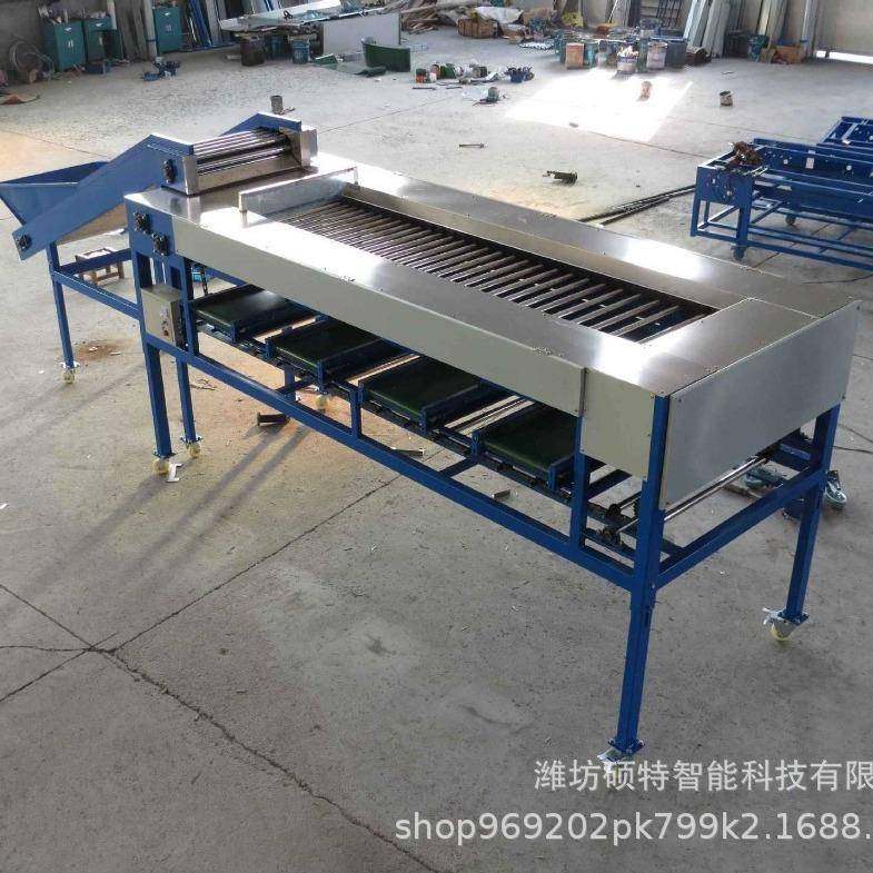 圣女果辊杠式大小分选机 蜜橘直径分级机 和田枣金桔筛选机,淘宝优惠券,粉丝福利购,淘宝优惠卷