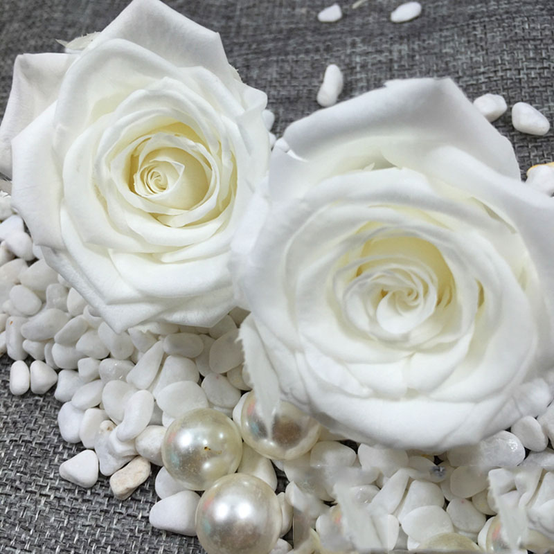 情人节永生花保鲜A级3-4cm白色玫瑰花婚礼告白礼物diy钥匙扣车挂