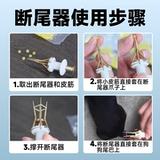 Артифакт-артефакт Dog Corgi Special Pet Special Rubber Band маленькая собачья щенка, разрушающая кожаная лента