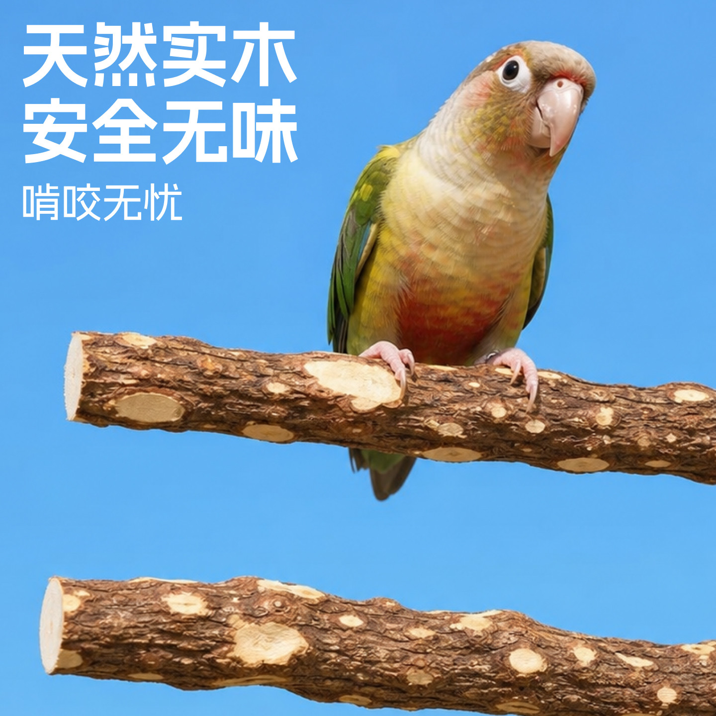 图2