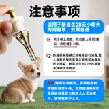 Артифакт-артефакт Dog Corgi Special Pet Special Rubber Band маленькая собачья щенка, разрушающая кожаная лента
