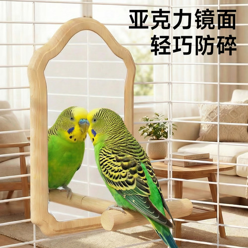鹦鹉镜子笼内装饰鸟笼造景站架解闷自嗨耐咬玩具虎皮玄风用品大全 - 图3
