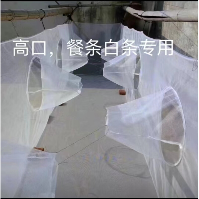 双排口自动进鱼网箱泥鳅鲫鱼餐白条养殖笼子神器鱼塘水库捕鱼 - 图1