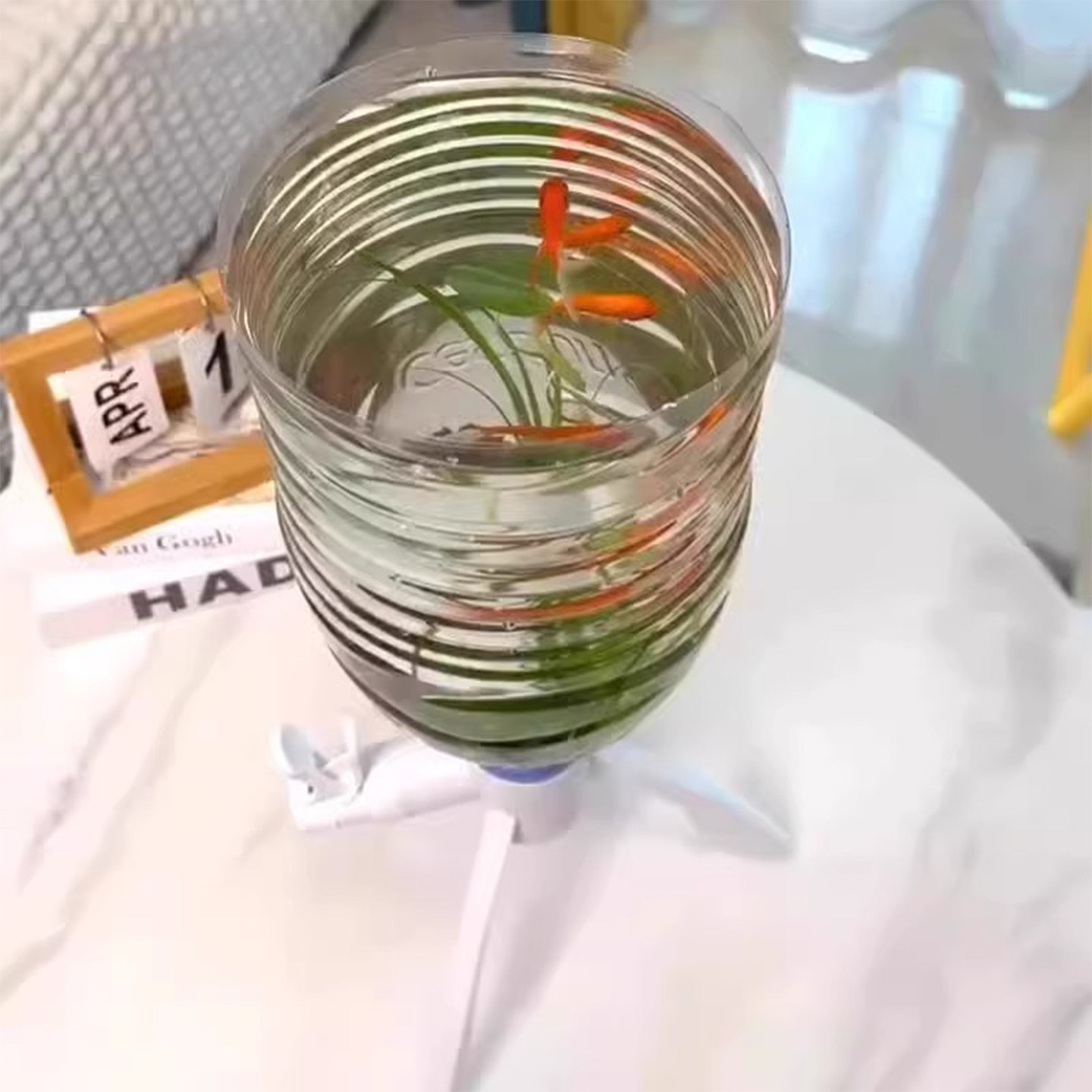 矿泉水养鱼换水三角支架倒置养鱼矿泉水瓶自制鱼缸水循环养鱼神器,淘宝优惠券,粉丝福利购,淘宝优惠卷
