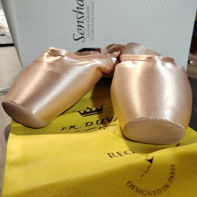 Sansha pointe shoes German satin training shoes ballet