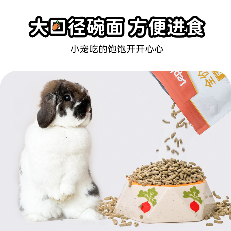 宠物胡萝卜陶瓷食盆兔子龙猫豚鼠荷兰猪猫咪狗草架食盆陶瓷饭碗 - 图1