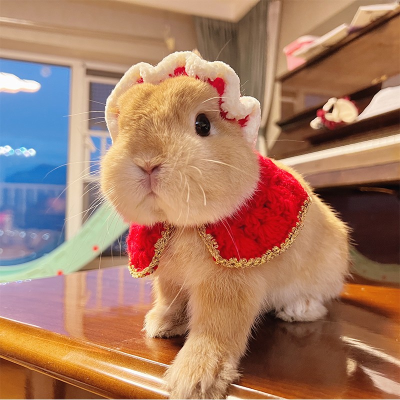 Rabbit New Year's shirt clothes tie hat traction rope