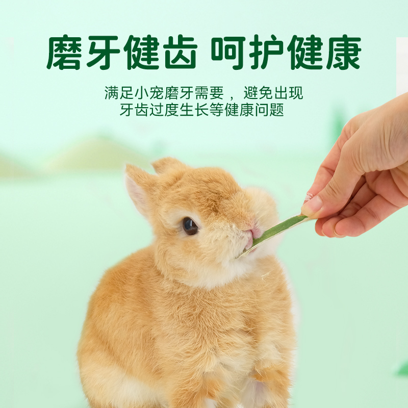 UMI兔子零食木瓜树芯耐咬小宠健康零食磨牙啃咬玩具仓鼠荷兰猪兔 - 图1